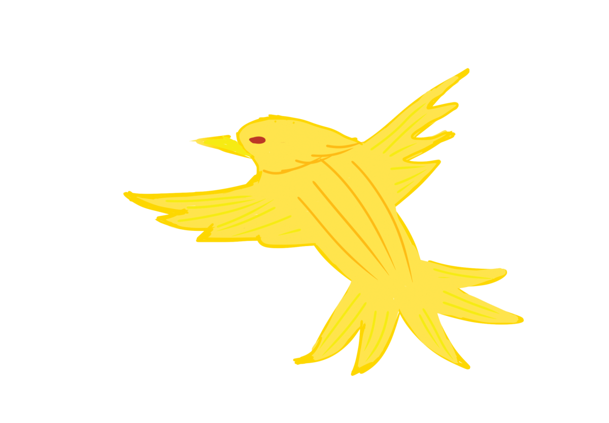 Bird Thing